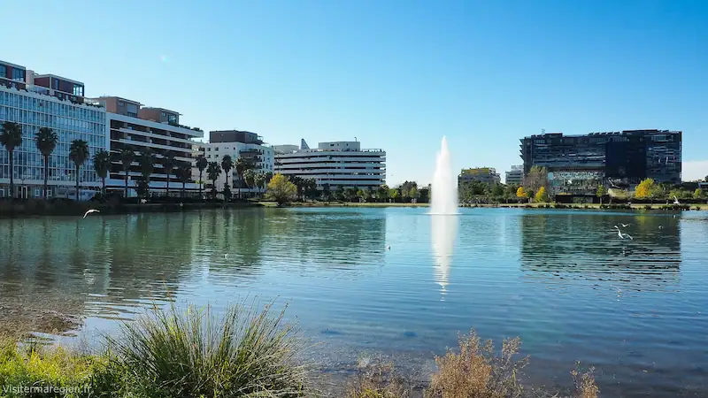 Quartier Port Marianne Montpellier – Bassin Jacques-Cœur et berges du Lez